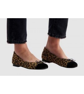 Chelsea (cheetah)